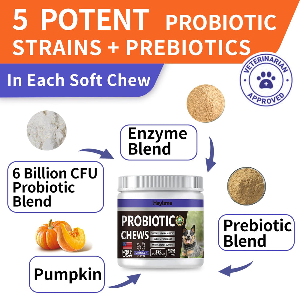 HEYISME dog probiotic usage scene with a tasty daily treat