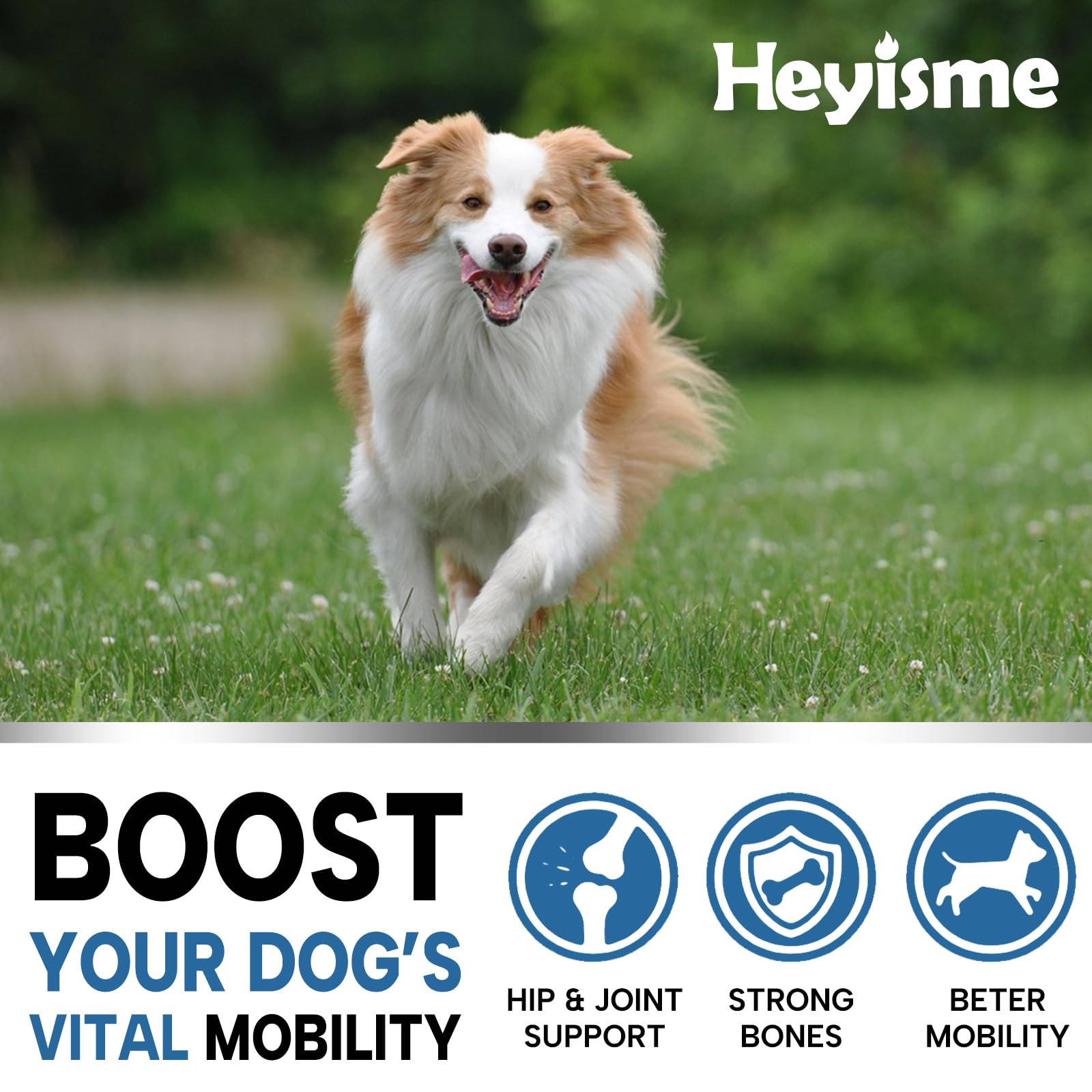 HEYISME veterinarian-formulated dog supplement in FDA-registered facility