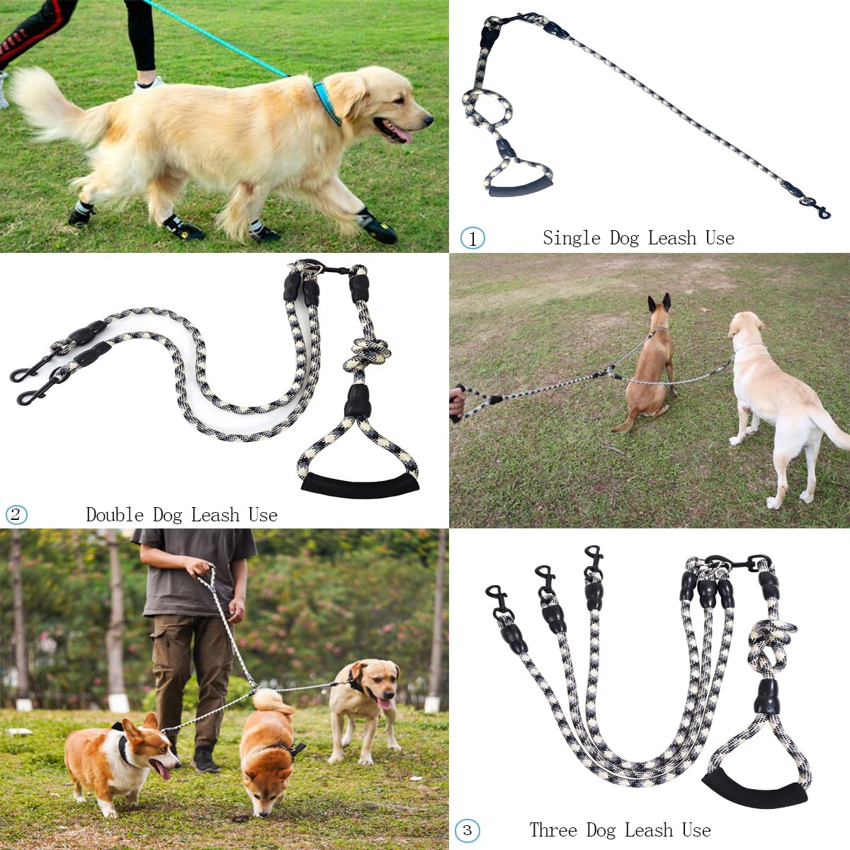 Heyllou 3 Dog Leash dual-dog-walking scene showing synchronized control for two dogs