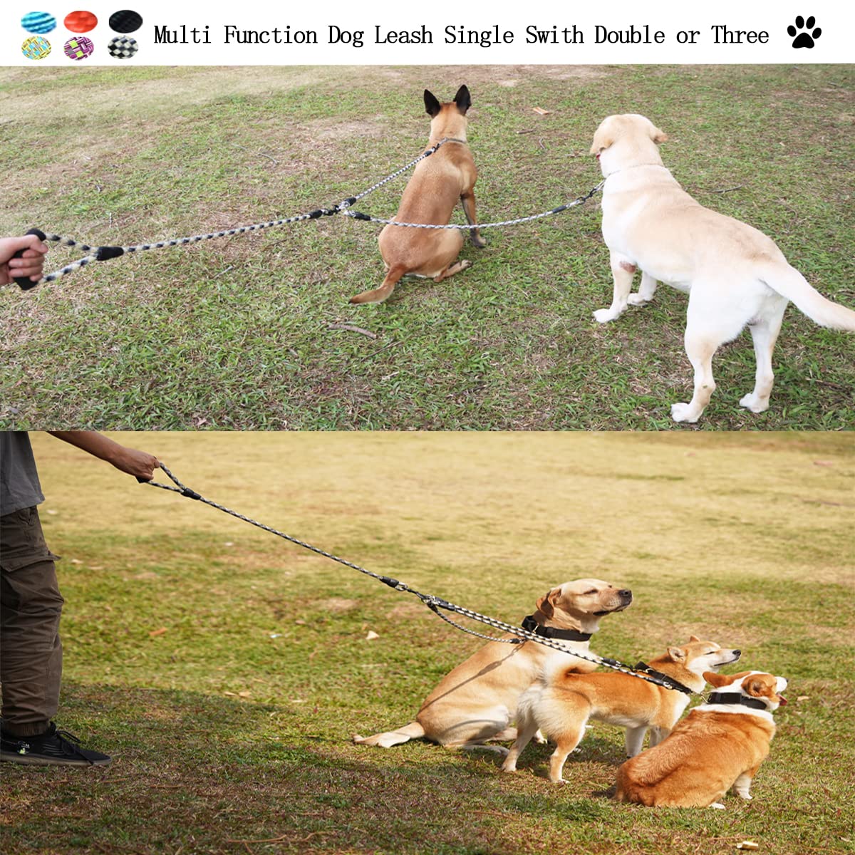 Heyllou 3 Dog Leash lengths infographic displaying main and assisting leash measurements