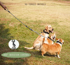 Heyllou 3 Dog Leash three-way coupler in use enables versatile two or three-dog setup