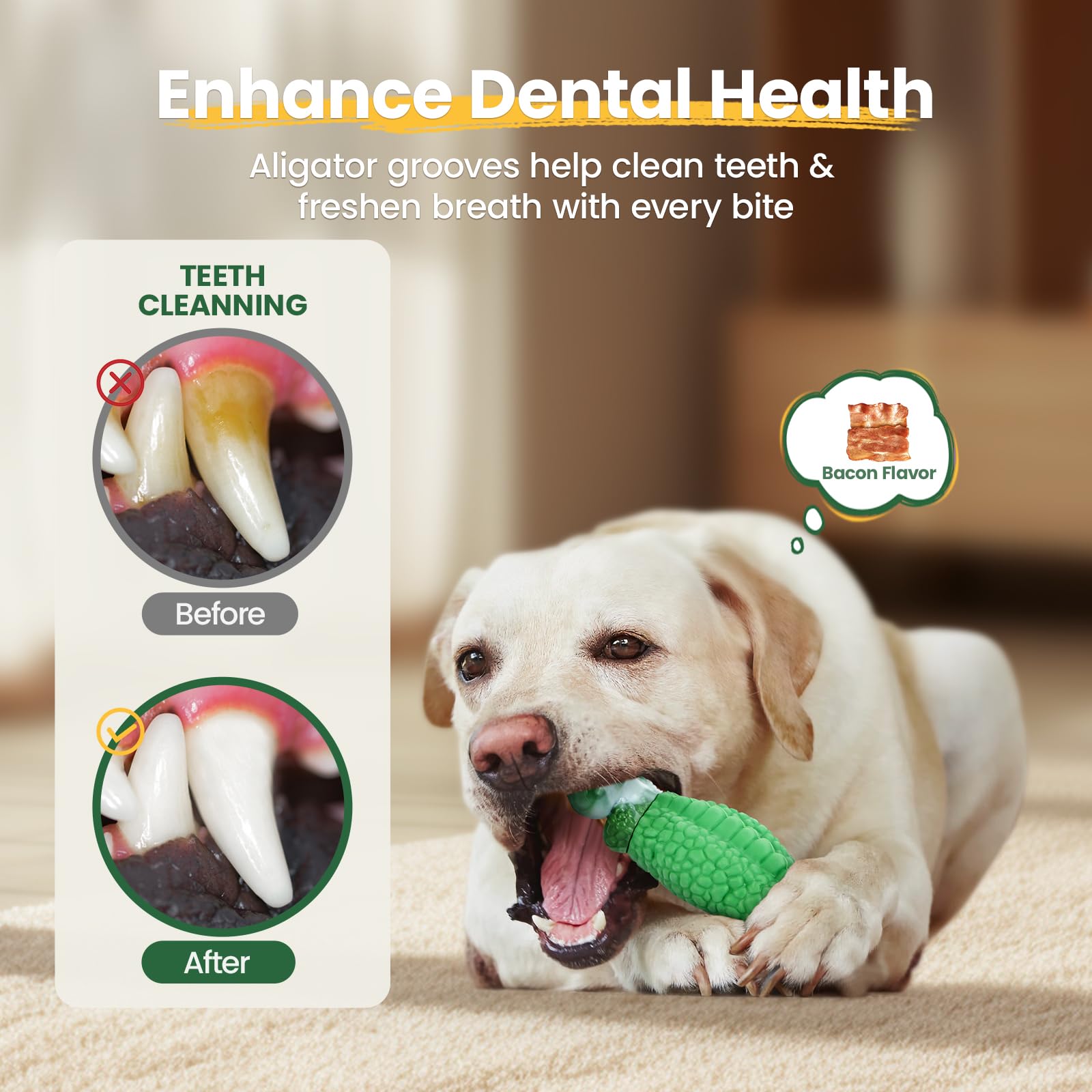 HGB bacon-flavor toy offers enticing scent for extended chewing and reward-based training.