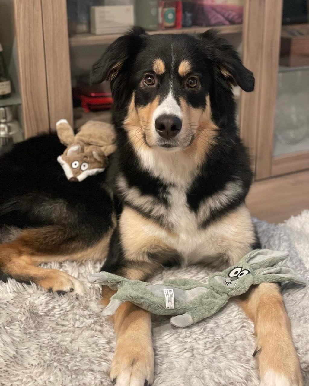HGB Machine-washable Plush Dog Toy for easy cleanup after adventures