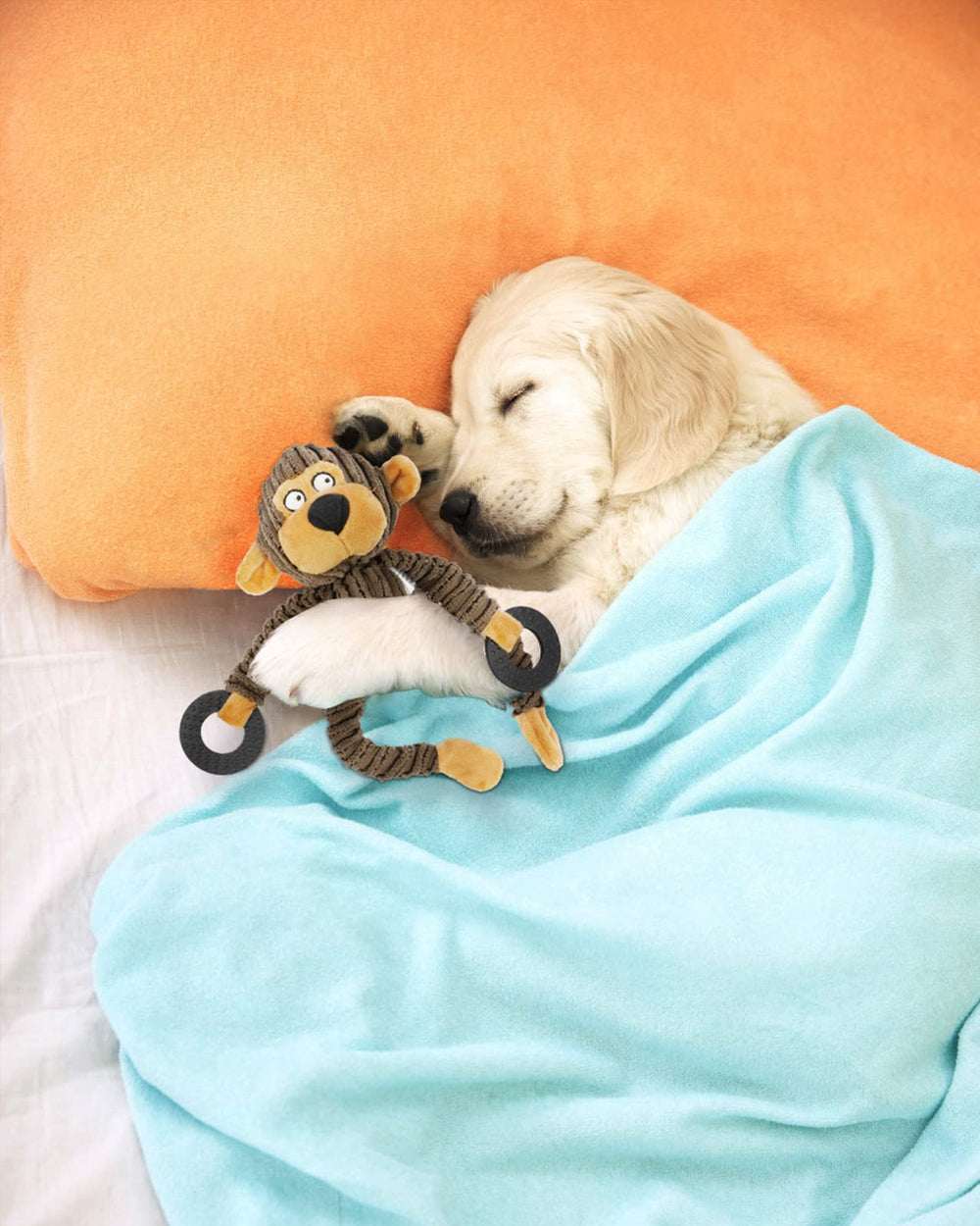 HGB Squeaky Dog Toy soft rubber rings provide gentle gum contact during teething