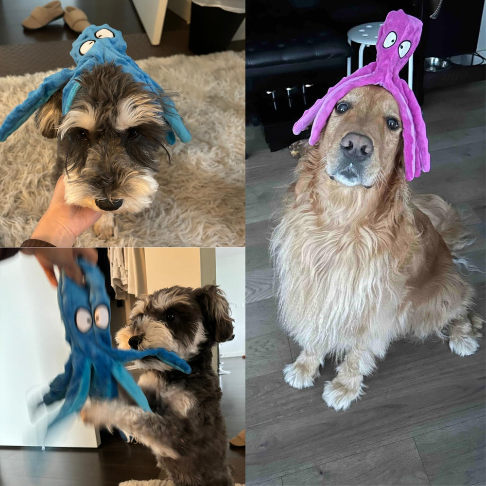 HGB Squeaky Octopus large-breed suitable toy for shared play.
