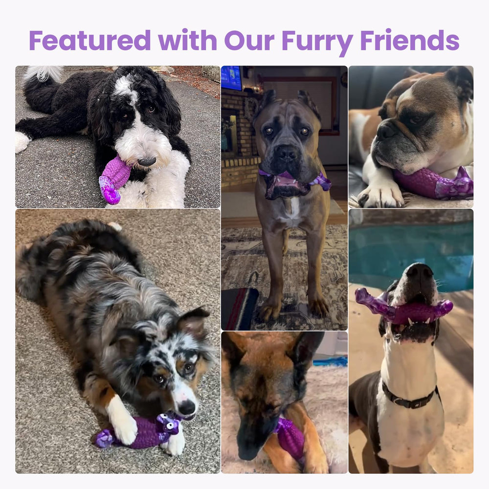 HGB Tough Dog Chew Toy purple color provides visible stimulation