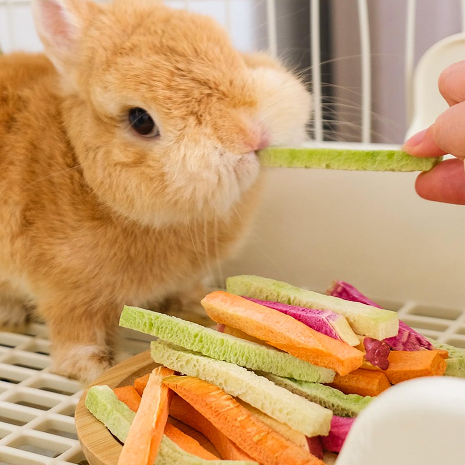 HGPOKLVT pet snack being eaten demonstrates easy, healthy enrichment.