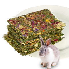 HGPOKLVT rabbit chew toy packaging demonstrates sturdy, long-lasting enrichment for daily gnawing.