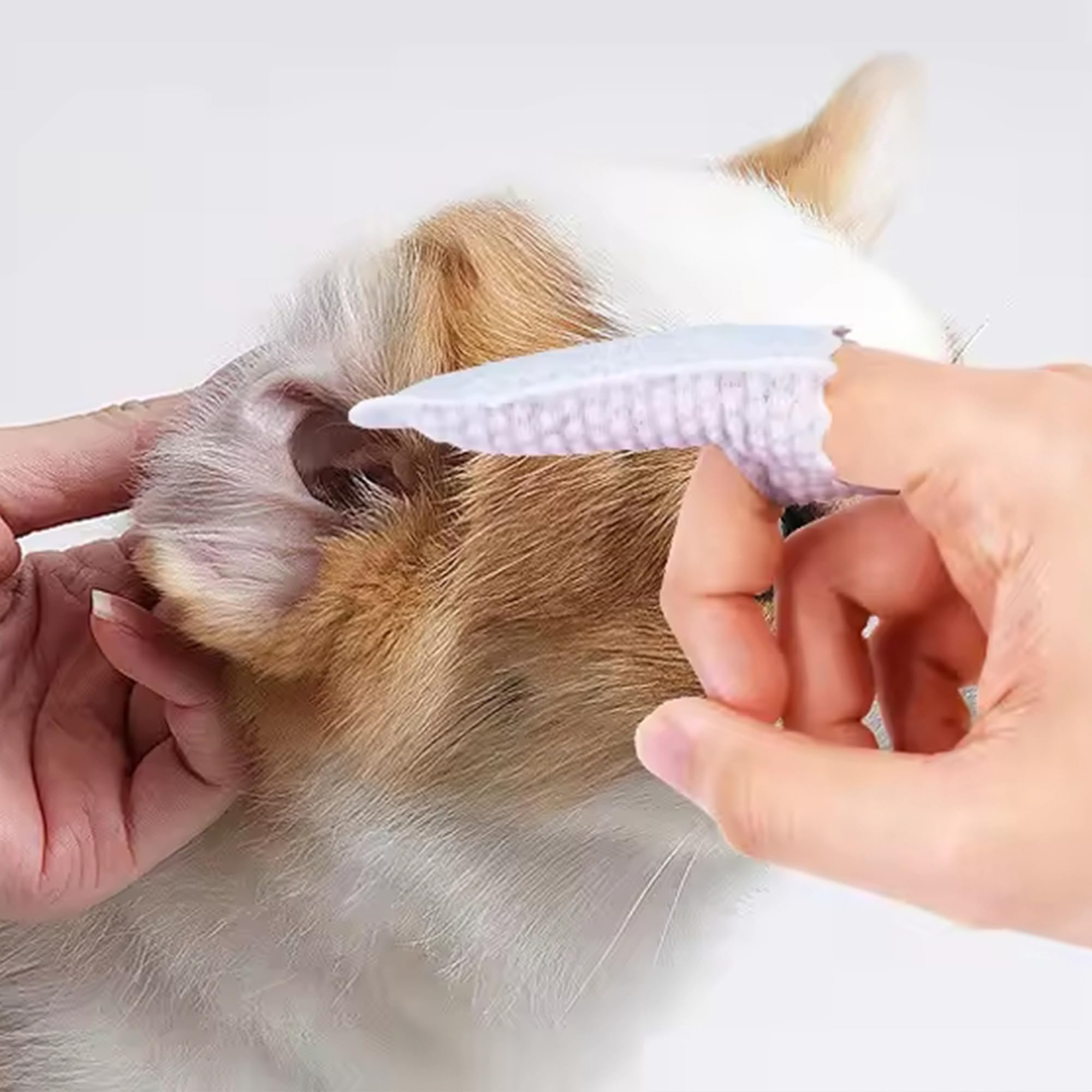 H&amp;H Pets dental care daily-use finger wipe in brushing action