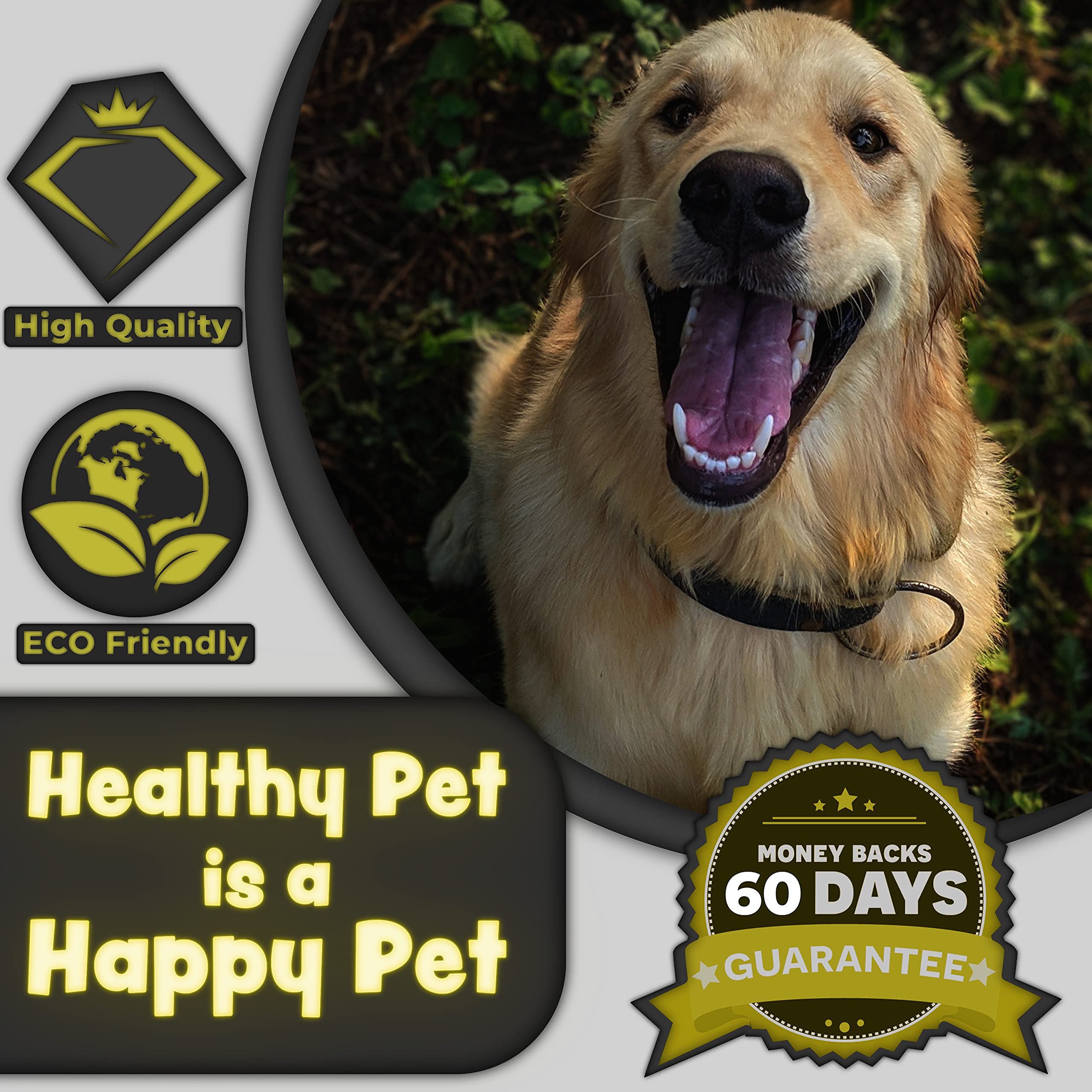 H&H Pets easy-brushing no-rinse toothpaste scene demonstrates convenient daily routine.