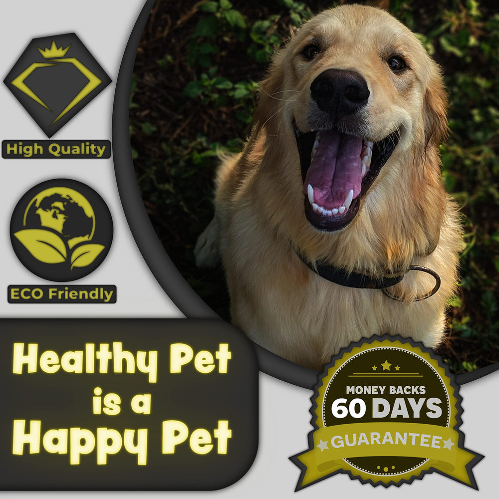 H&H Pets easy-brushing no-rinse toothpaste scene demonstrates convenient daily routine.