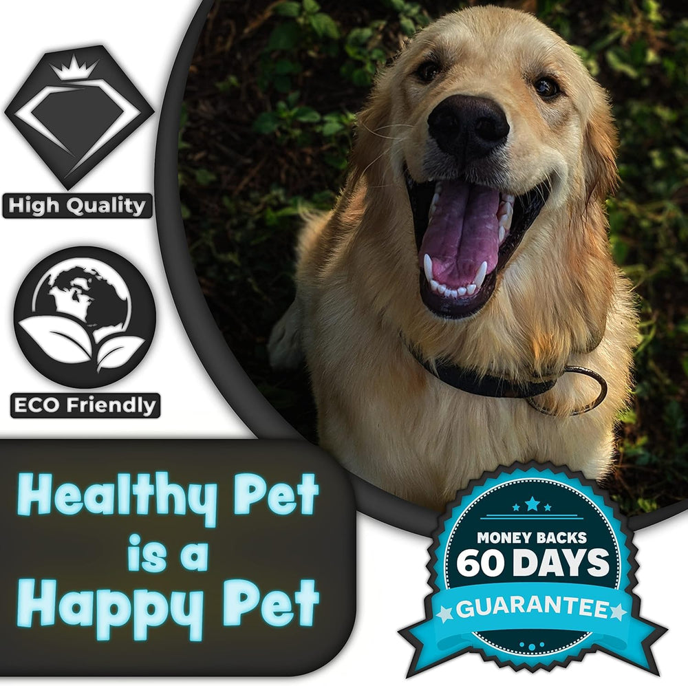 H&H Pets four-pack packaging showcases value and readiness for routine dental care.