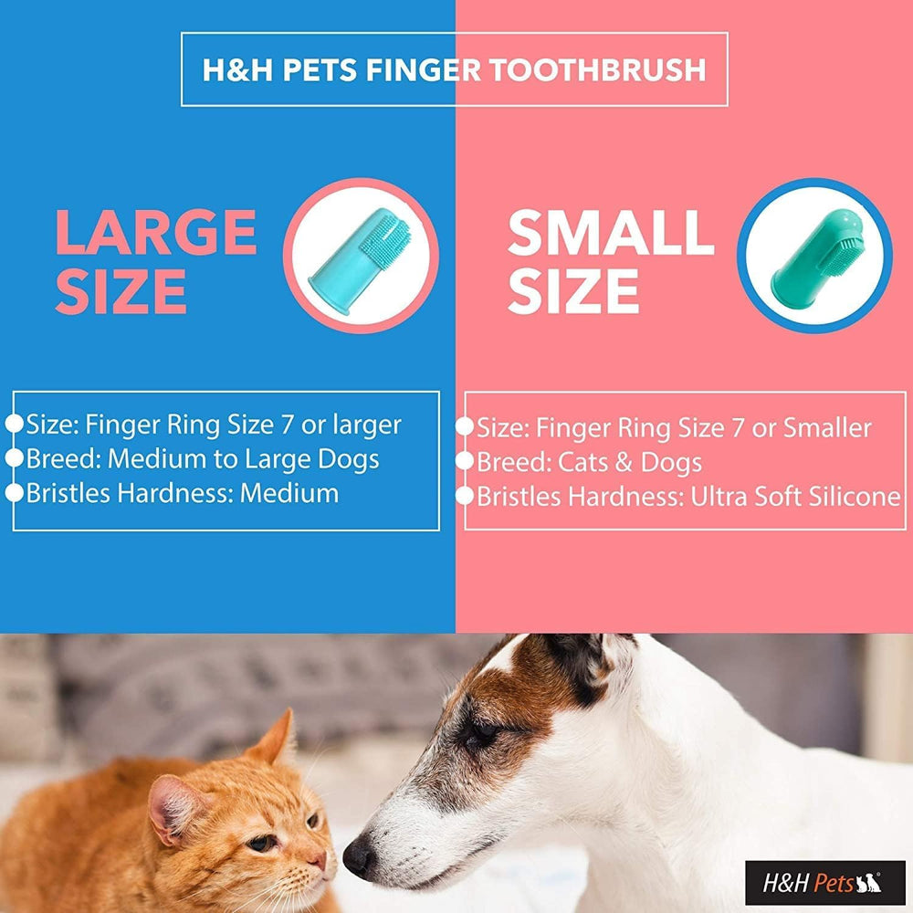 H&H Pets puppy-friendly brushing setup demonstrates safe dental care on-the-go.