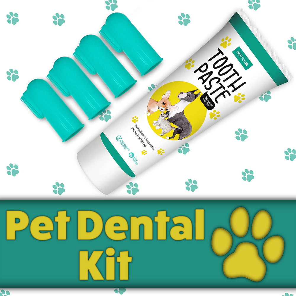 H&H Pets satisfaction guarantee badge image communicates 60-day money-back promise.