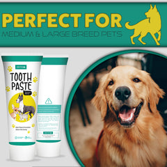 H&H Pets soft-bristle feature close-up for pet-safe cleaning.