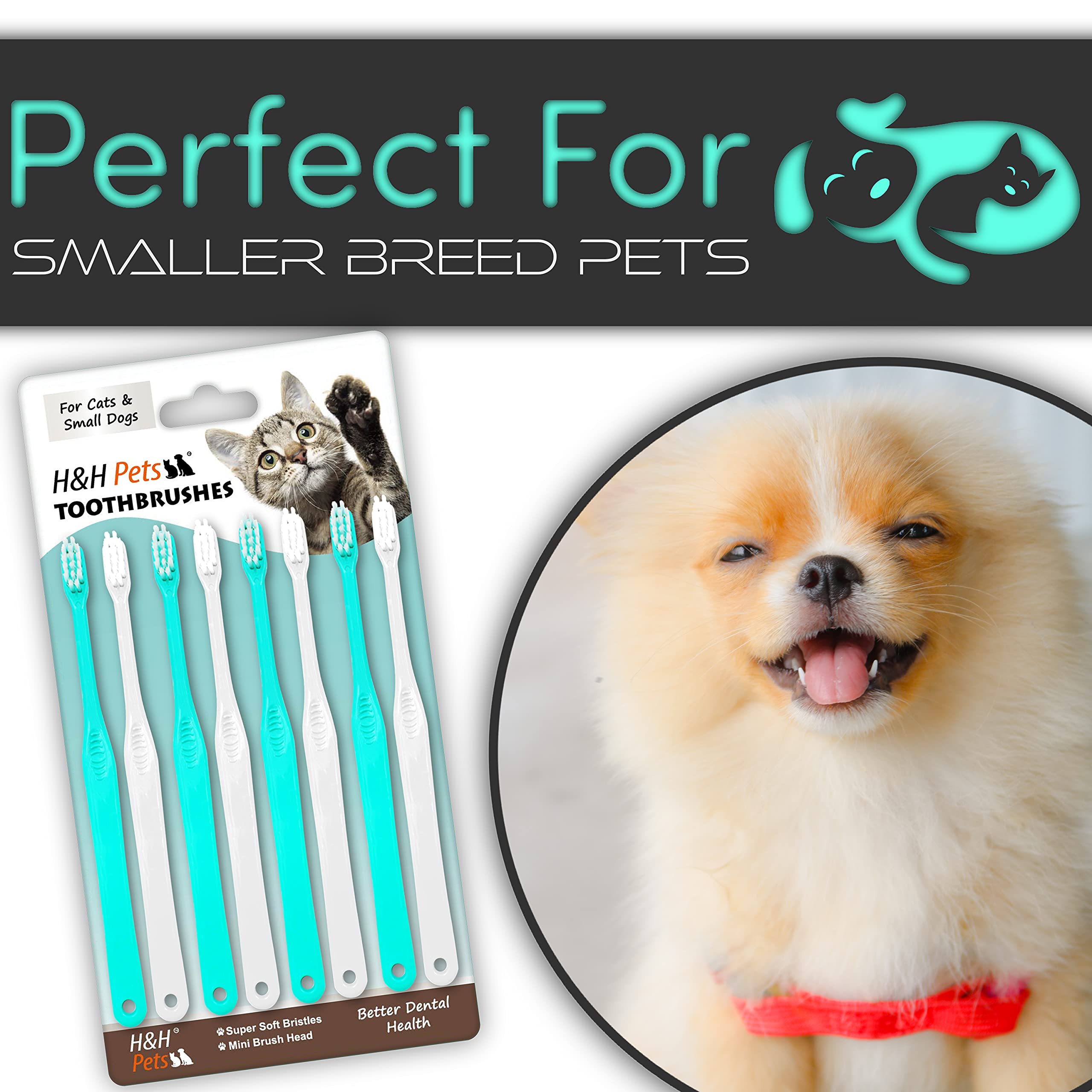 H&H Pets toothbrush close-up shows ultra-soft bristles for gentle cleaning.