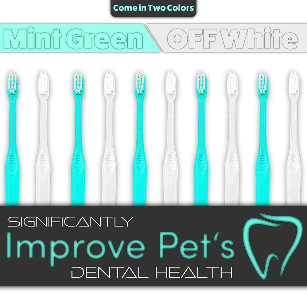 H&H Pets teacup-dog use shows comfortable brushing session.