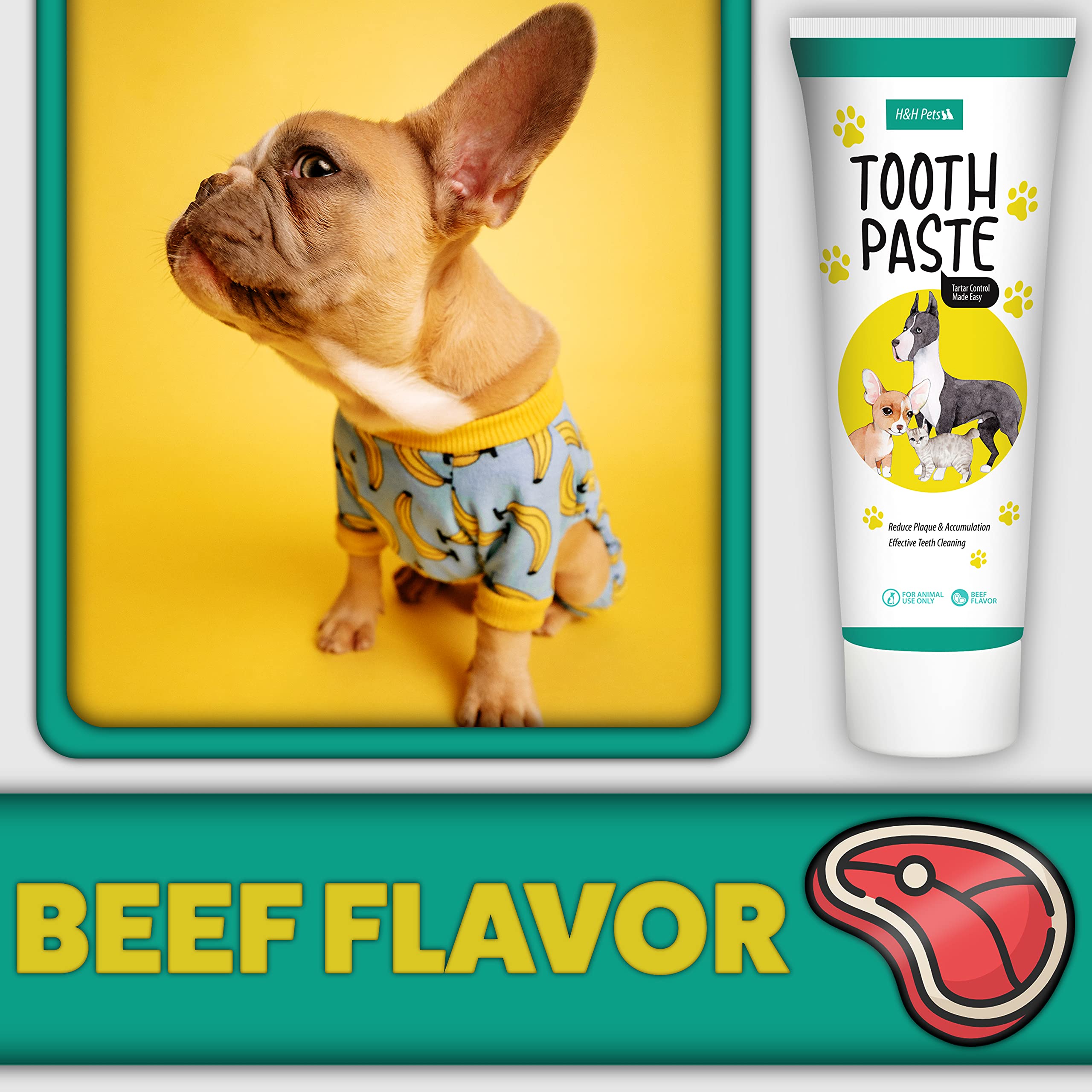 H&H Pets beef-flavored toothpaste close-up for an appealing brushing experience.