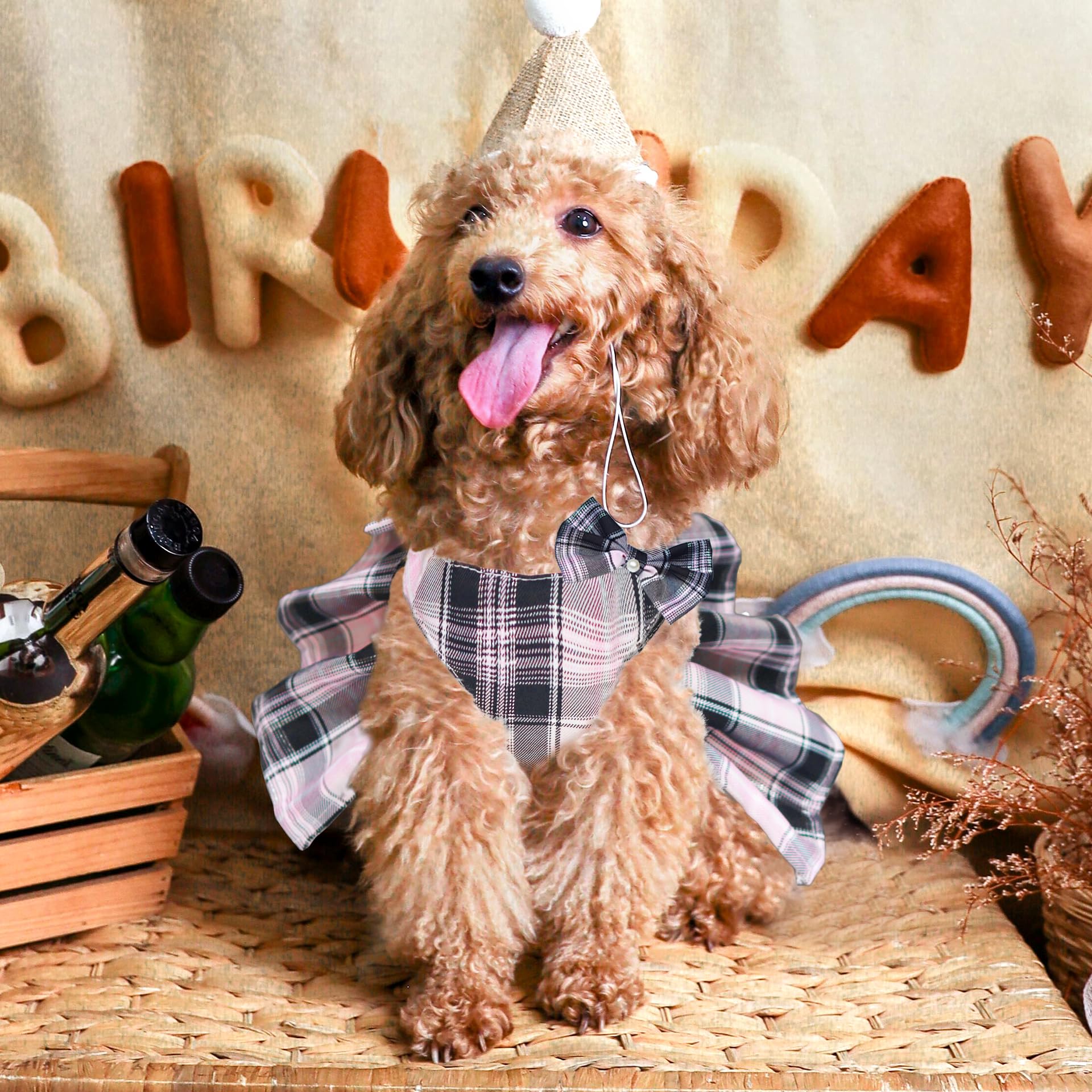 HhiMyOct breathable mesh lining keeps small dogs cool on warm days.