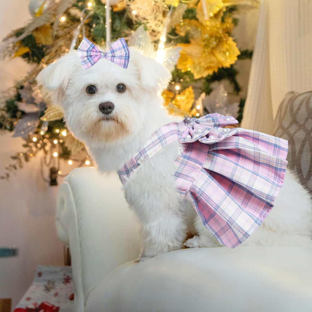 HhiMyOct dress shown during a pet photoshoot for festive occasions.