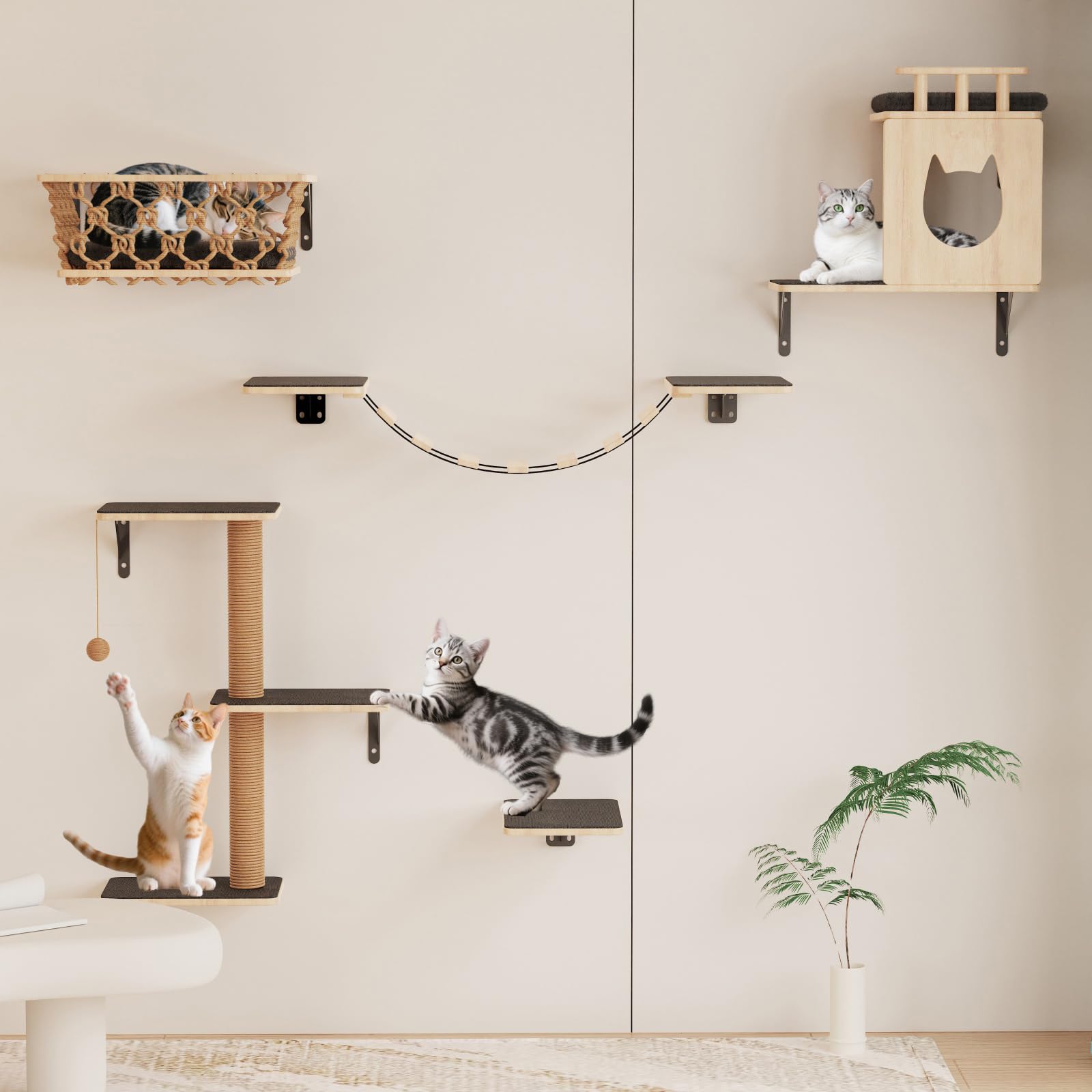 HHOFURN 5-in-1 cat wall shelves rock-solid safety for sturdy vertical space