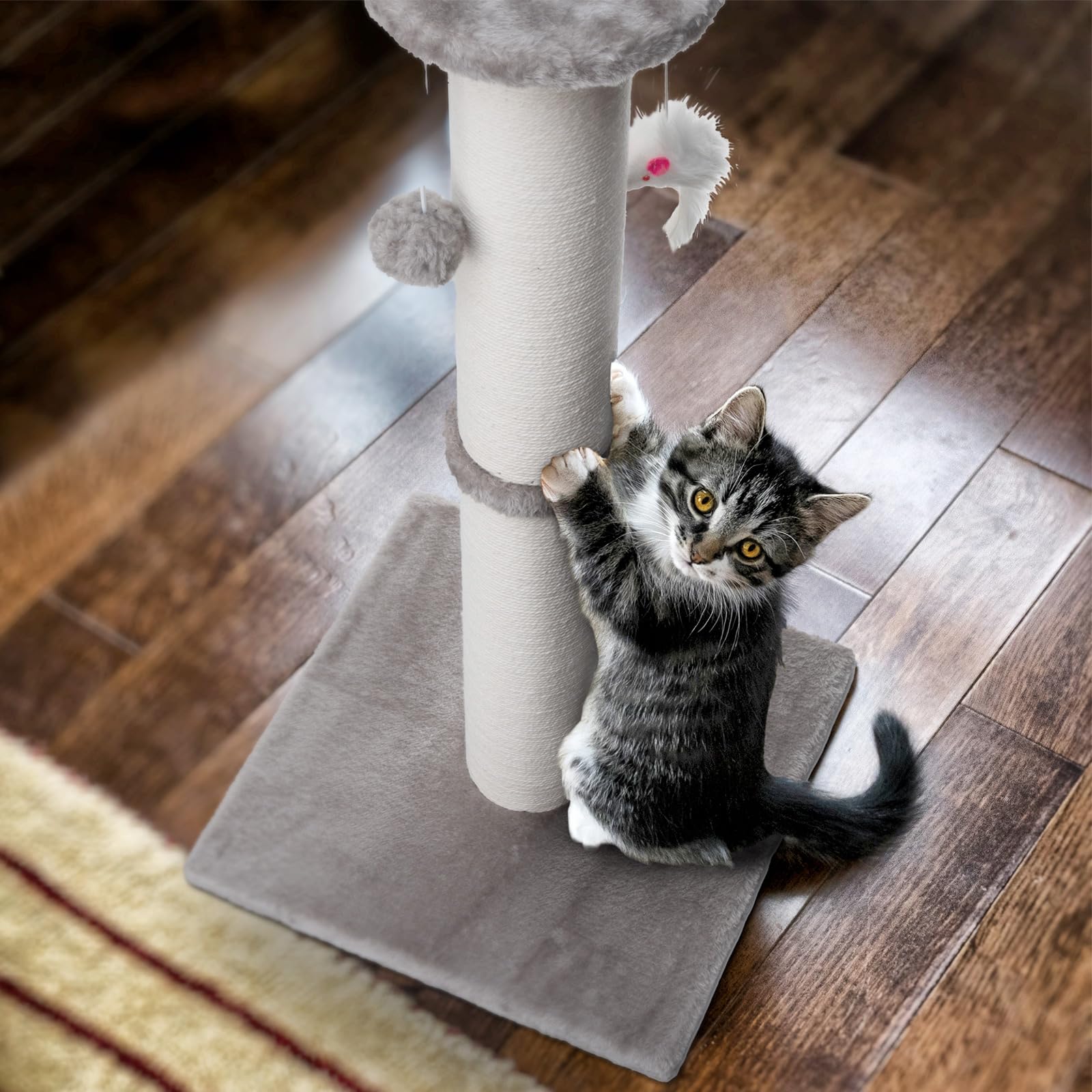HHZZMIAO durable base with floor-anchoring option for wobble-free kitten adventures.