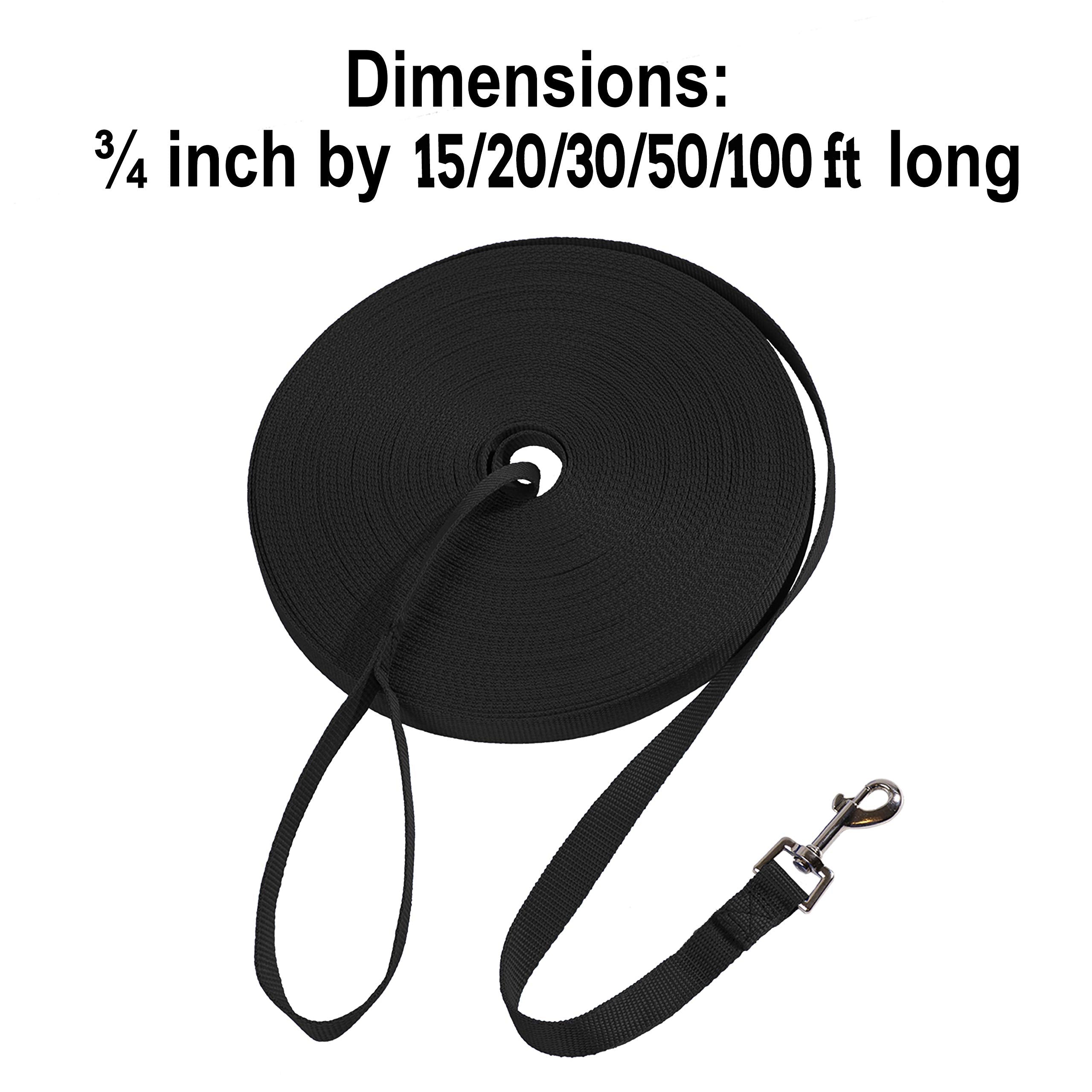 Hi Kiss dog leash 20ft backyard training session with pet