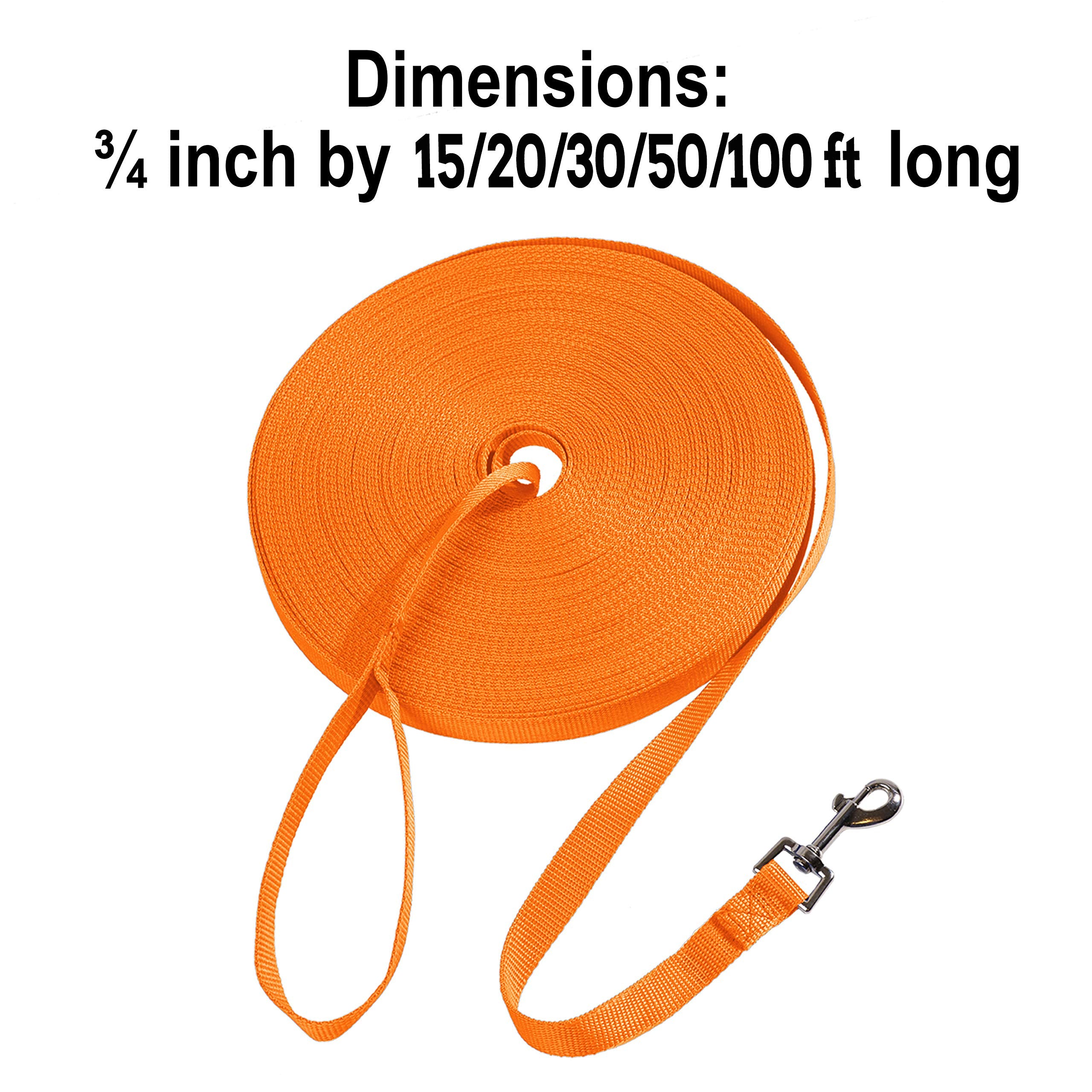 Hi Kiss orange 20ft durable nylon leash for backyard training and off-leash play.
