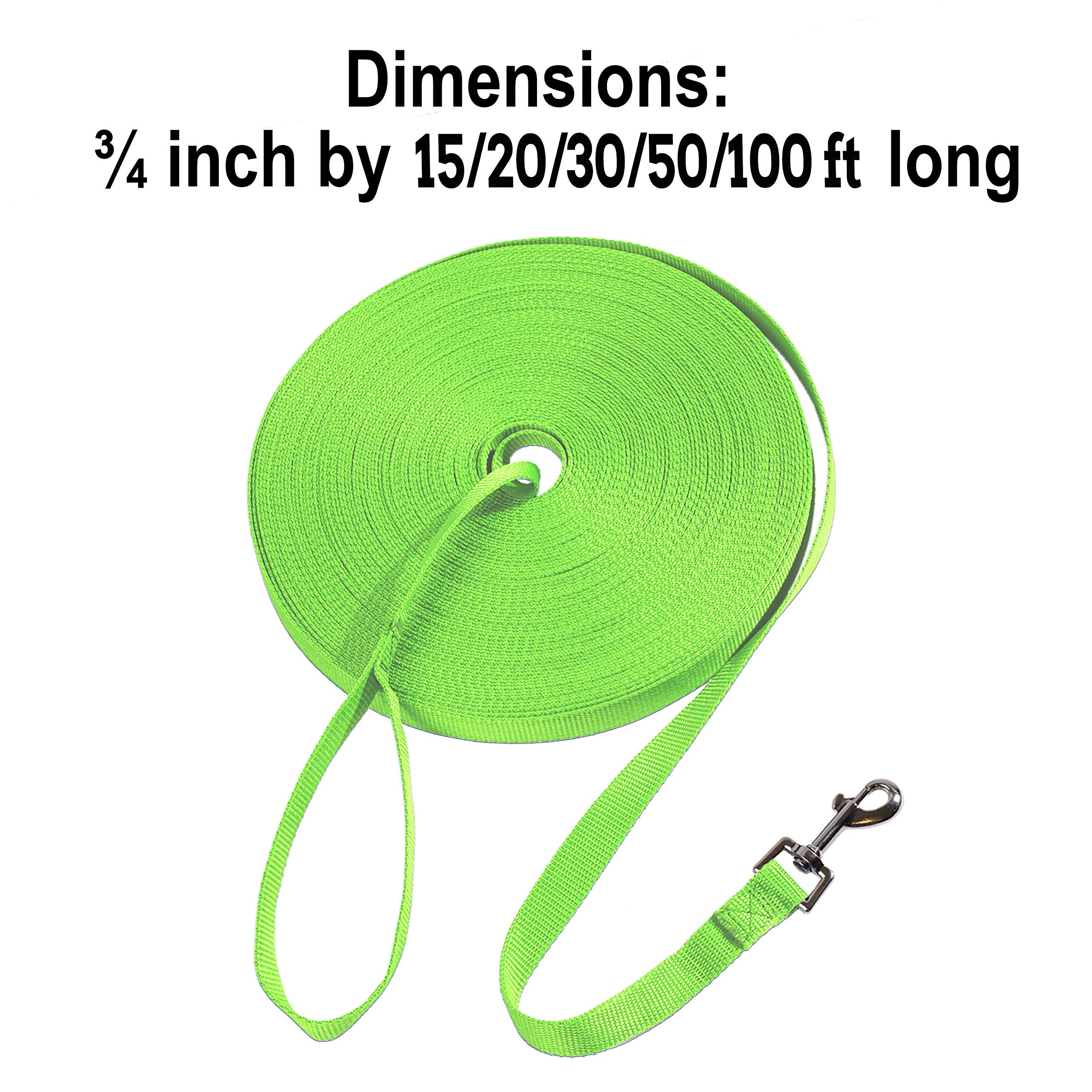 Hi Kiss dog leash with reinforced stitching for long-lasting use