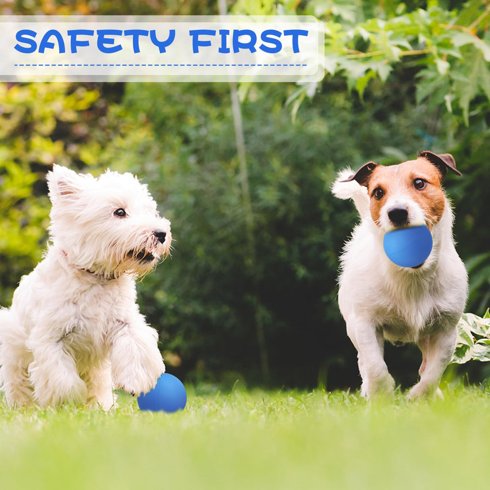 Hiboom bright blue dog balls visible in grass for quick recovery during games