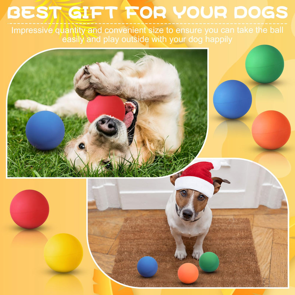 Hiboom park and beach ready dog balls for versatile play