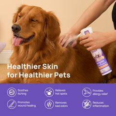 HICC PET 2x-strength-hocl-solution shows potent wound care support.