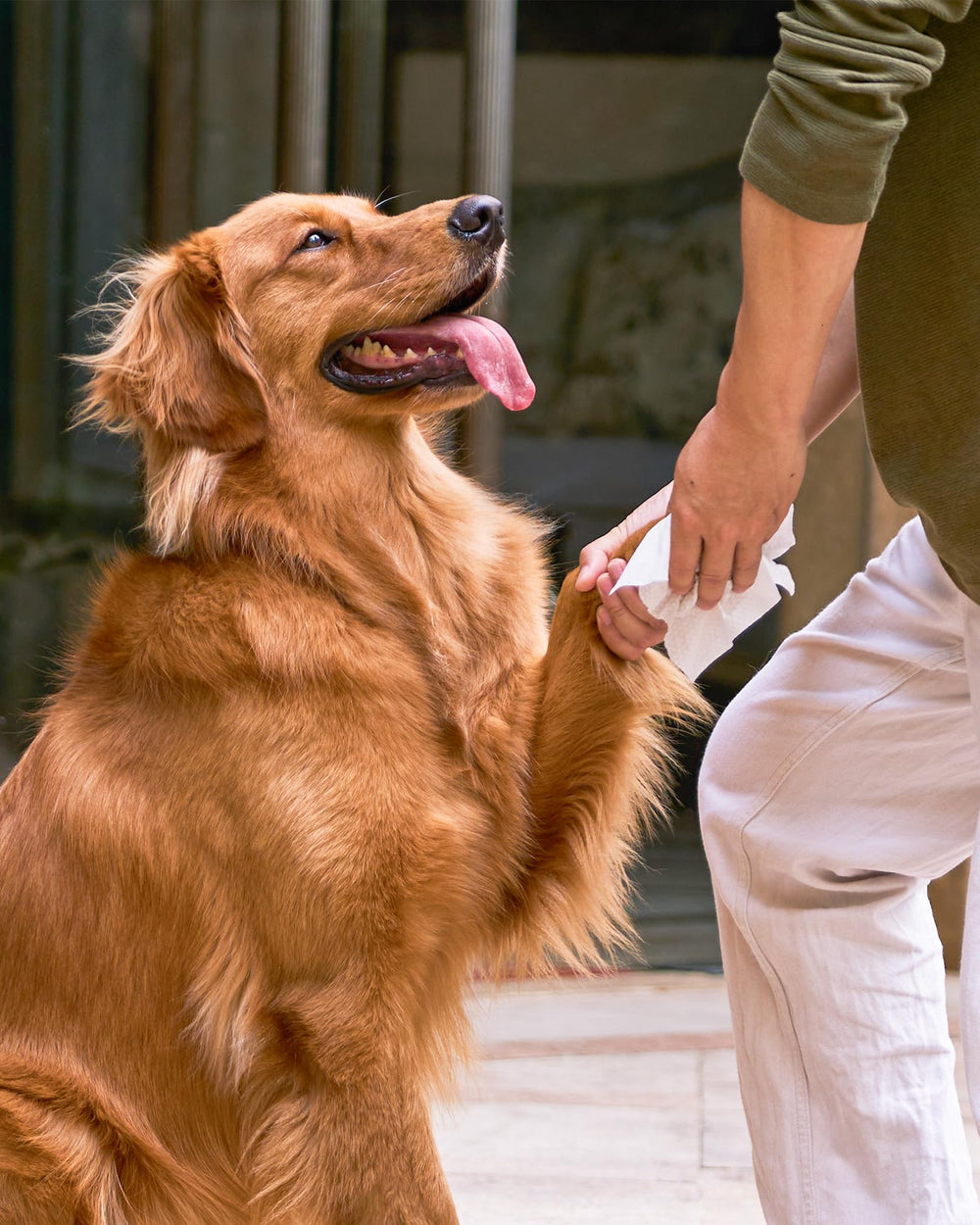 HICC PET compact lid packaging keeps wipes moist on-the-go