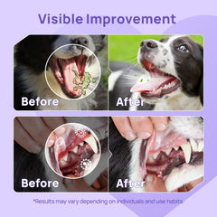 HICC PET spray-fresh breath visual demonstrates noticeable freshness after first use.