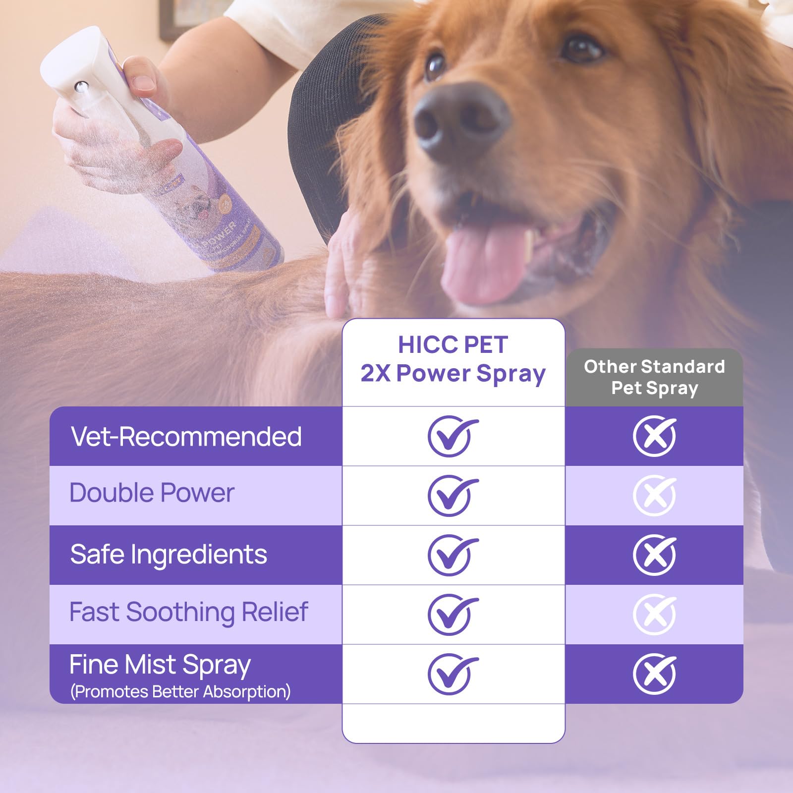 HICC PET dog-hot-spot-treatment-on-paw shows real-life improvement during outdoor play.