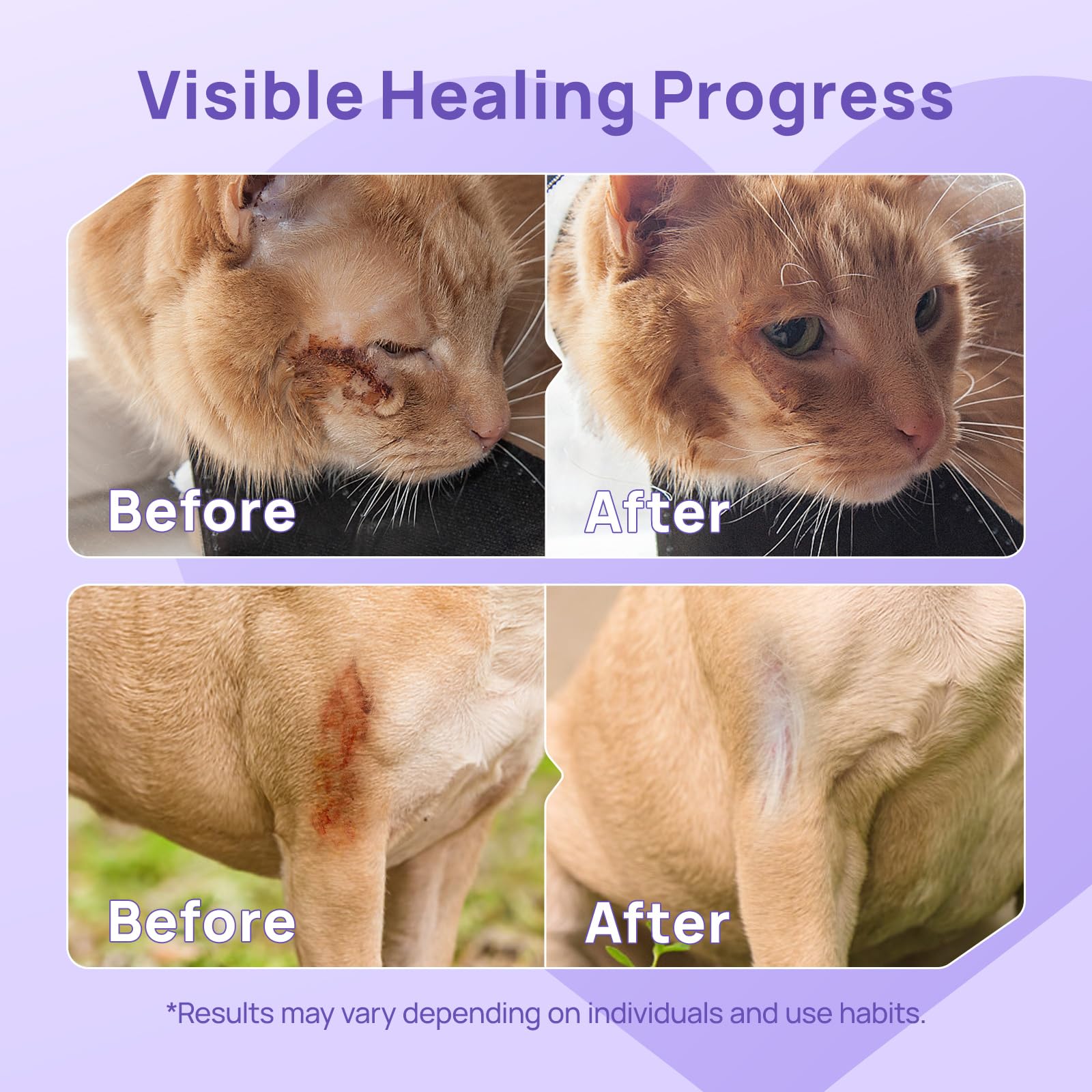 HICC PET dog hypochlorous acid gel ingredient closeup communicates gentle wound cleansing properties.