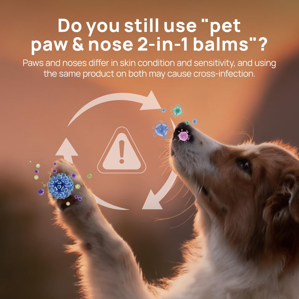 HICC PET dog paw balm twist application shows mess free hands free use