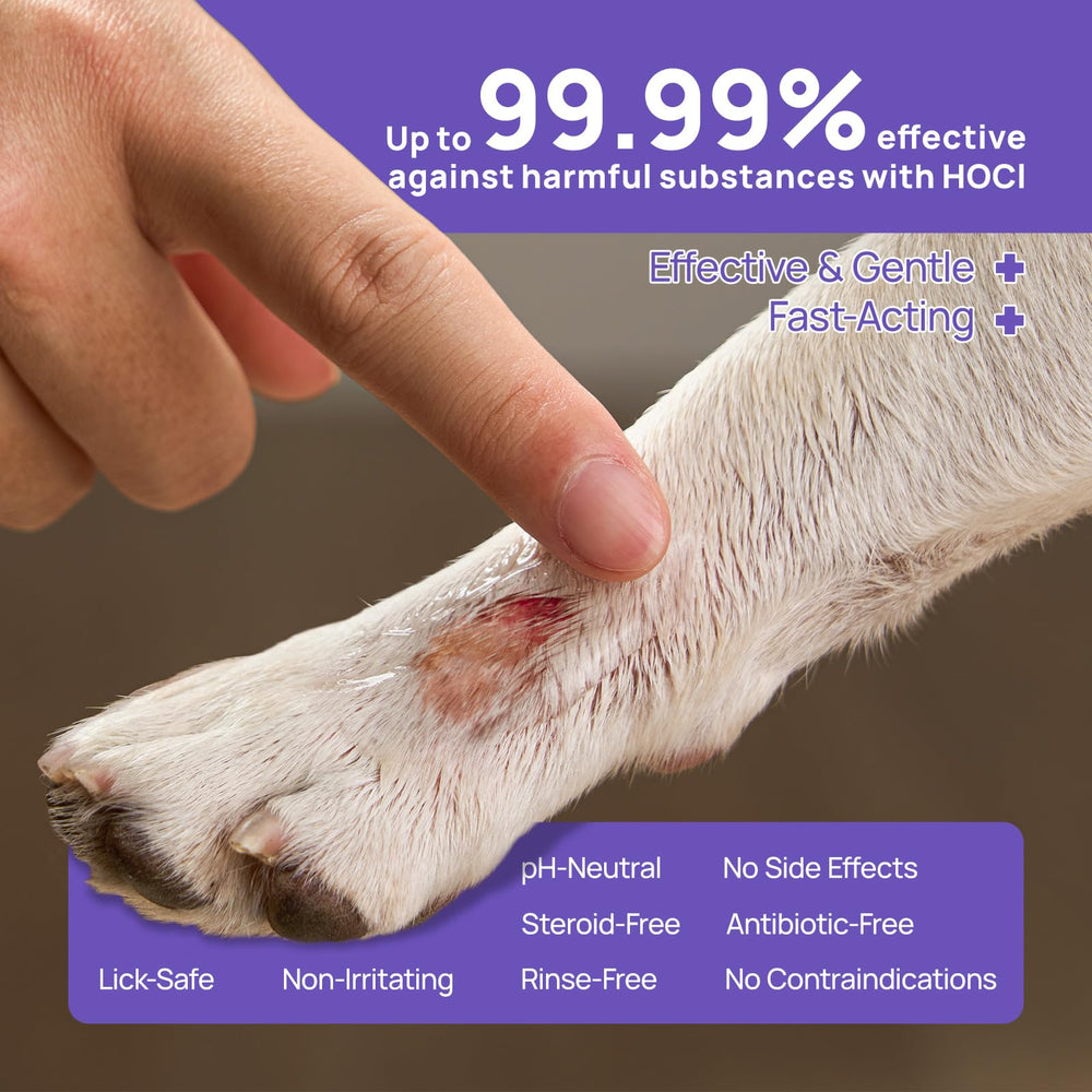 HICC PET dog wound hydro gel closeup highlights clear film-forming barrier protecting wounds.