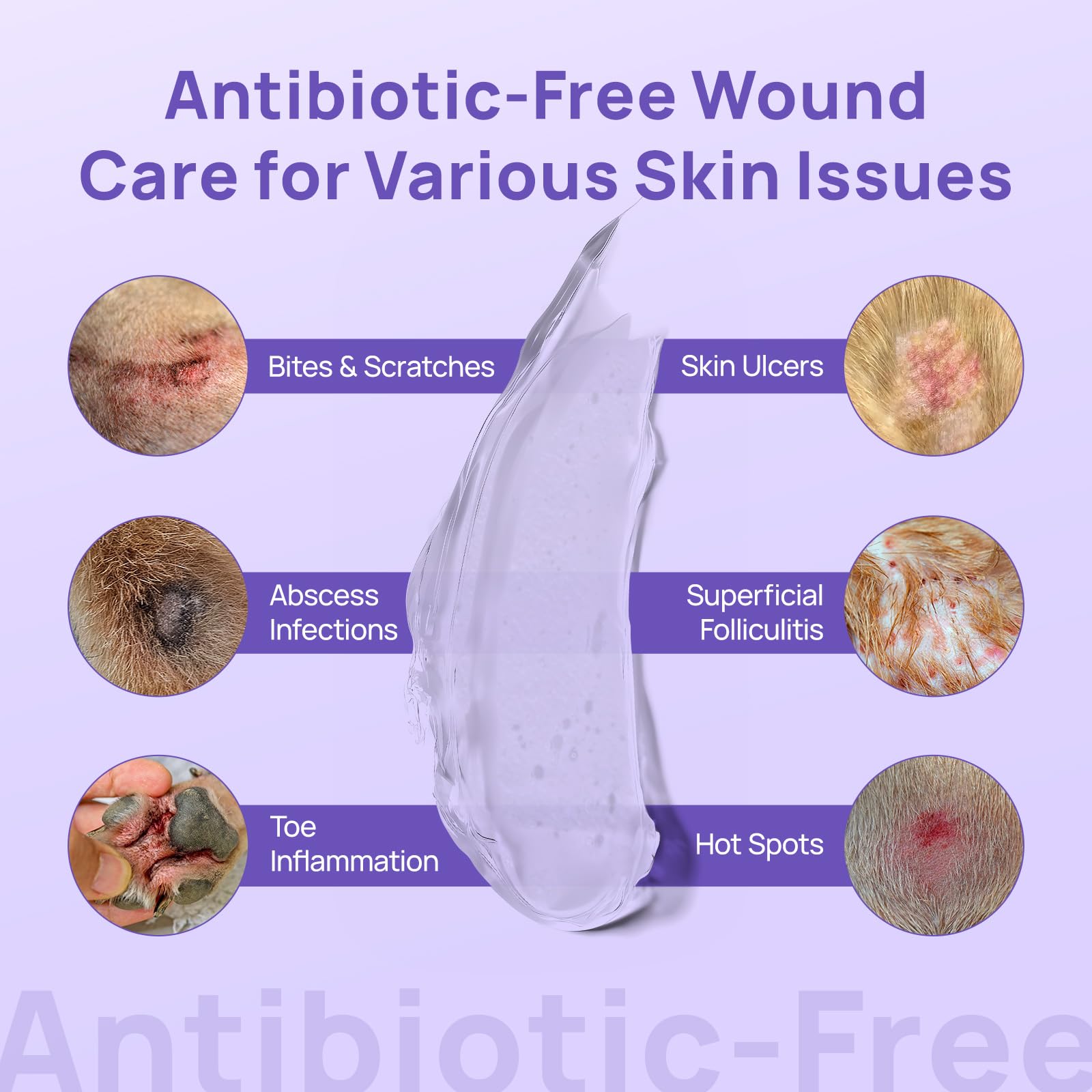 HICC PET dog wound gel vet-formulated close-up for trusted care