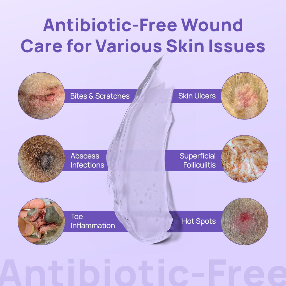 HICC PET dog wound gel vet-formulated close-up for trusted care