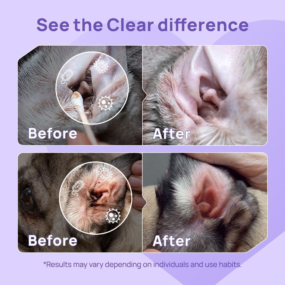 HICC PET ear cleaner in use during gentle cleaning to remove debris