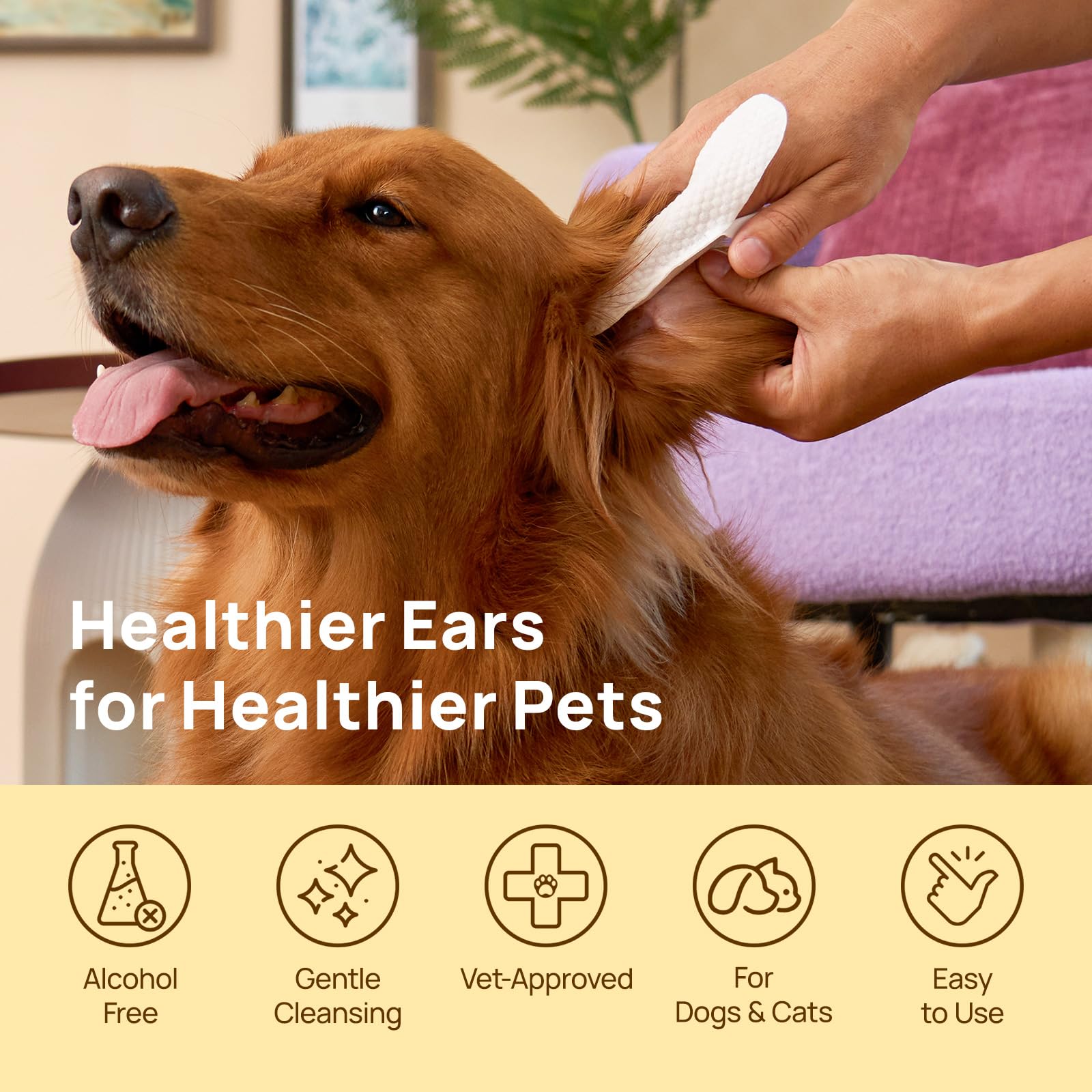 HICC PET Ear Cleaner Wipes biodegradable plant fibers for safe disposal and eco-friendly use