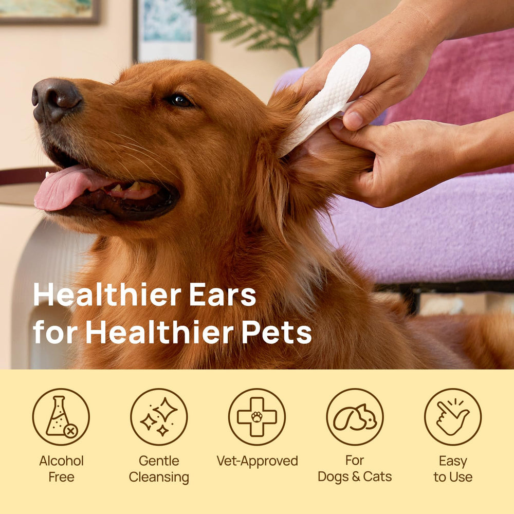 HICC PET Ear Cleaner Wipes biodegradable plant fibers for safe disposal and eco-friendly use