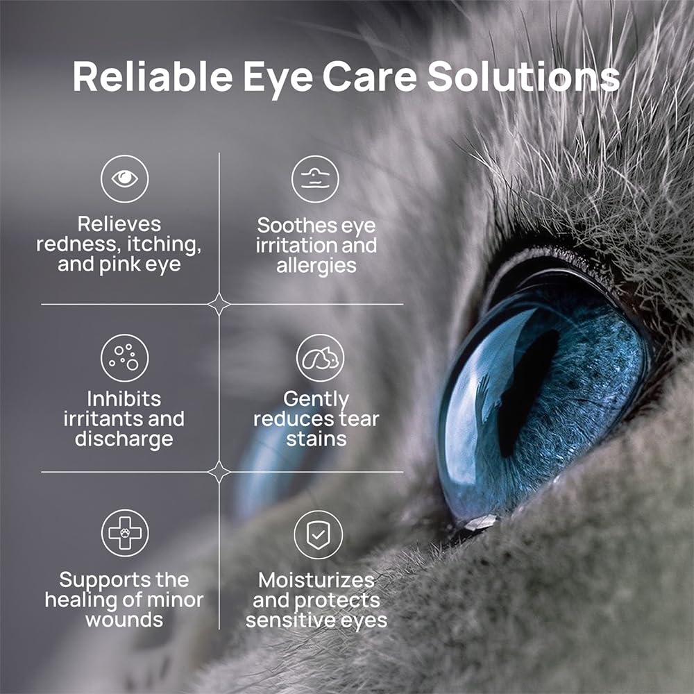 HICC PET Eye Gel on dog eye area aids soothing comfort.
