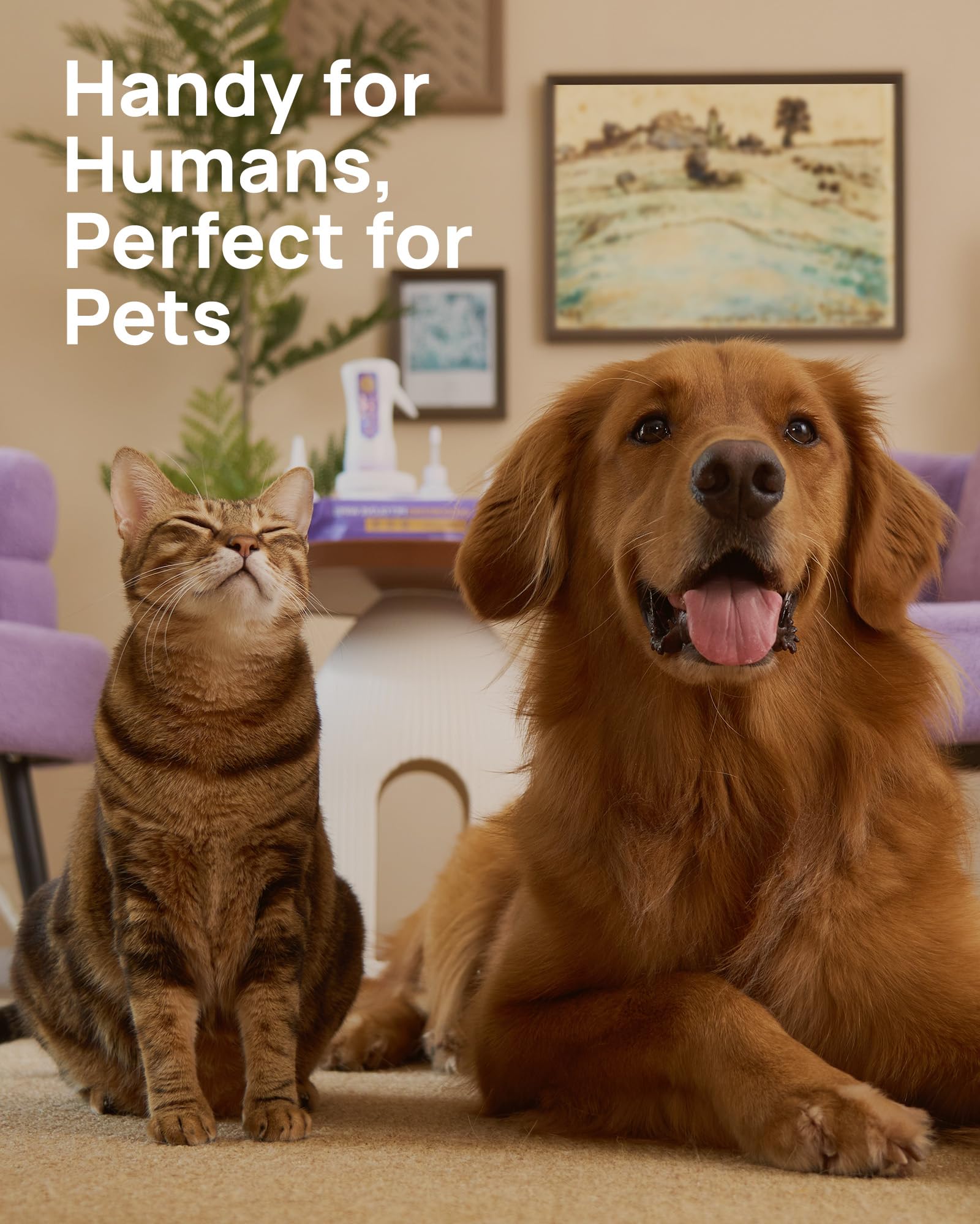 HICC PET Eyes Wipes travel-friendly pack enables on-the-go eye care.