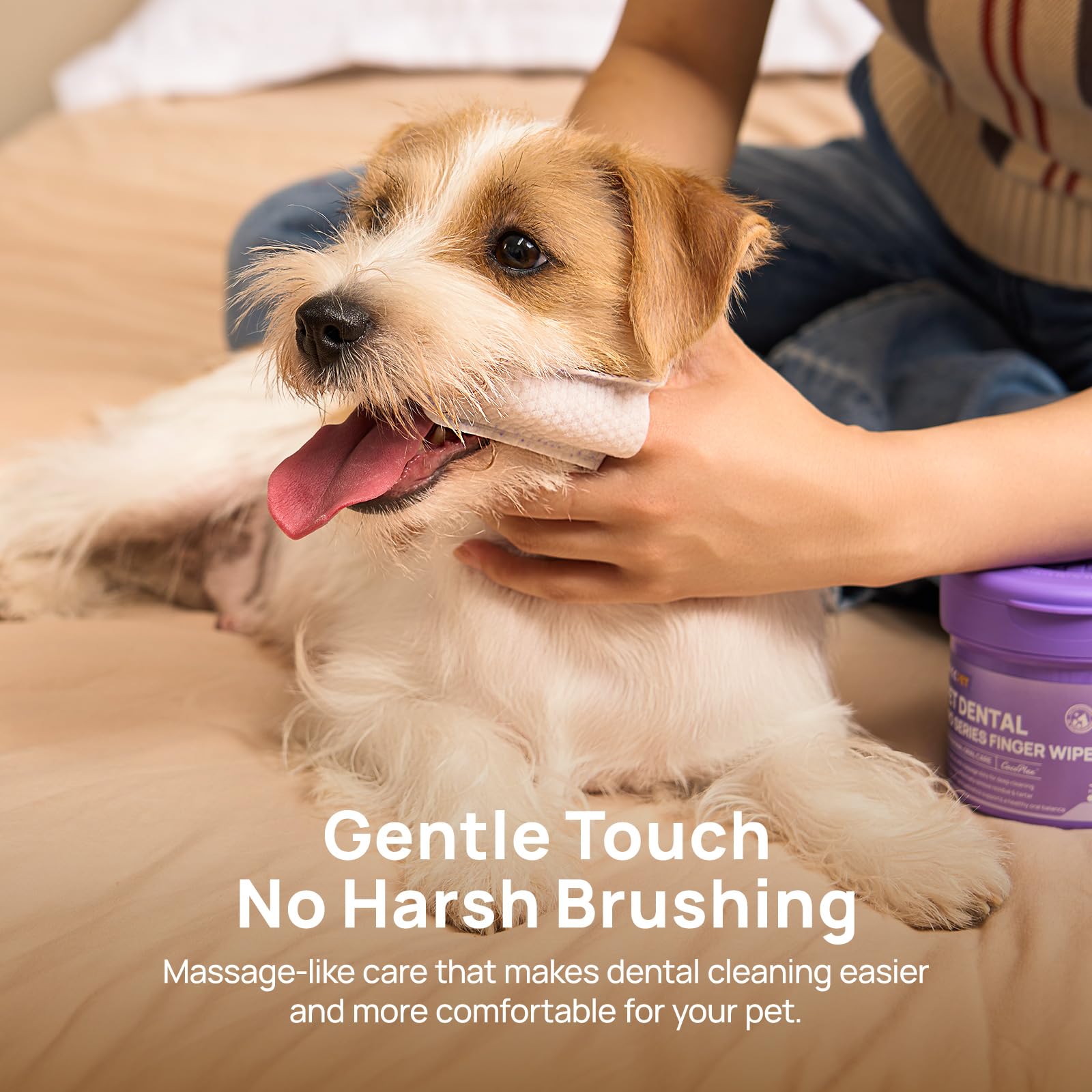 HICC PET Pro kit limpieza dental, solución asequible para casa