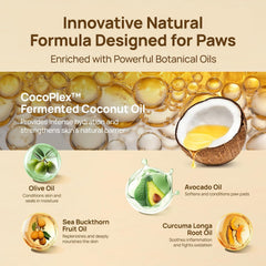 HICC PET dog paw balm with natural ingredients like sea buckthorn for soothing paws