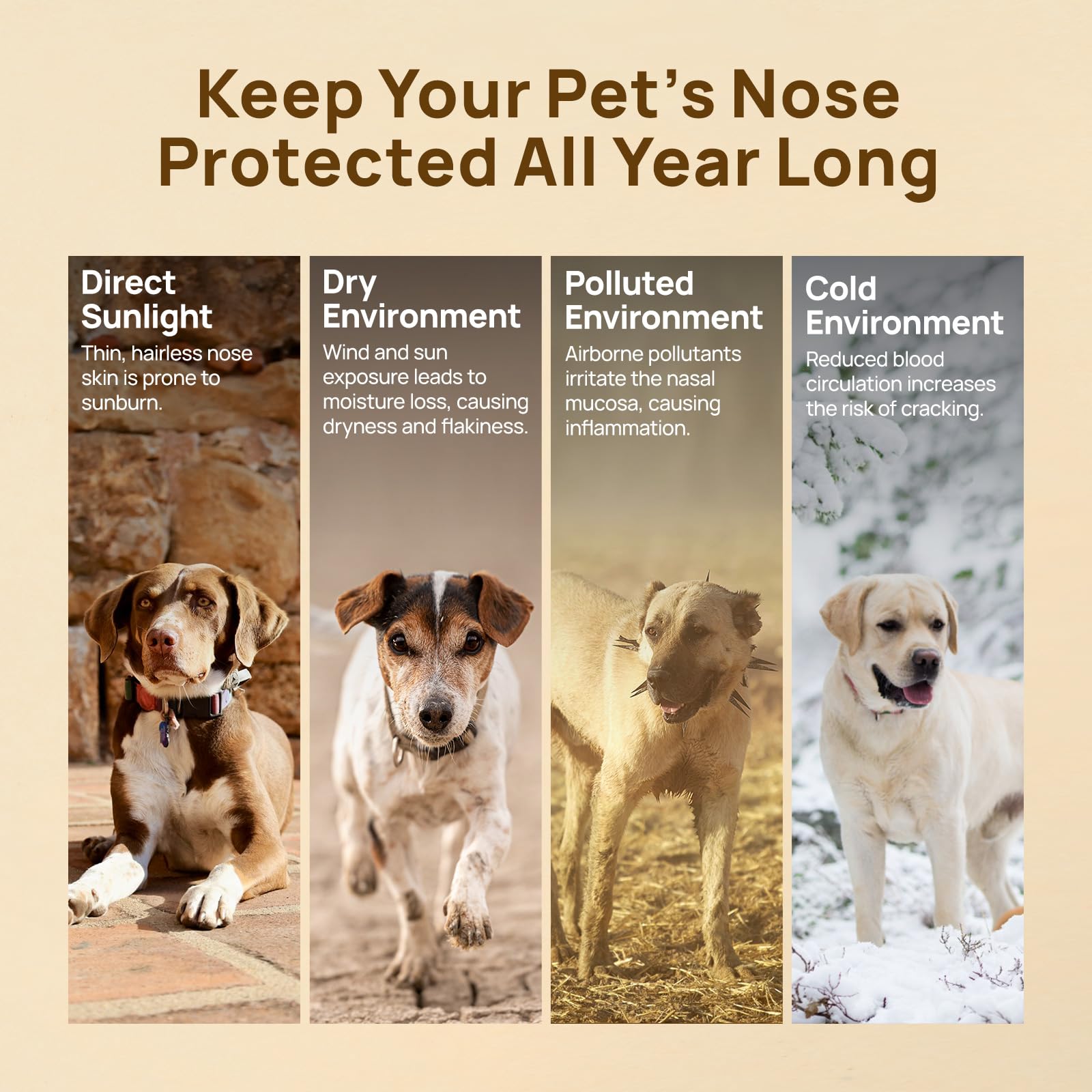 HICC PET Nose Balm travel-friendly twist-and-go design fits busy owners