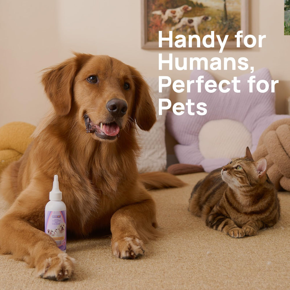 HICC PET packaging-bottle-label showcasing bottle size and clear instructions.