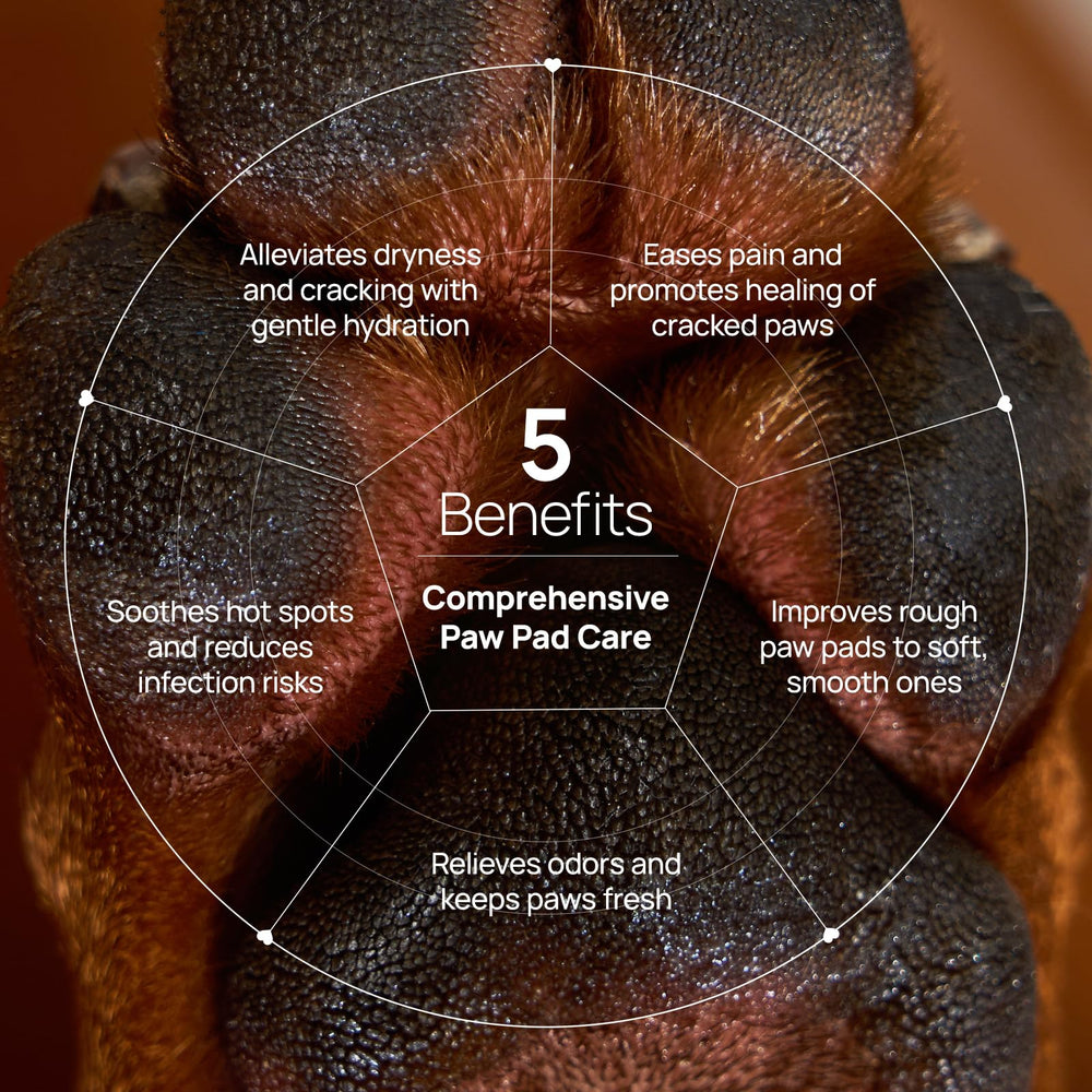 HICC PET paw balm on dog's paw after hike demonstrating soothing relief